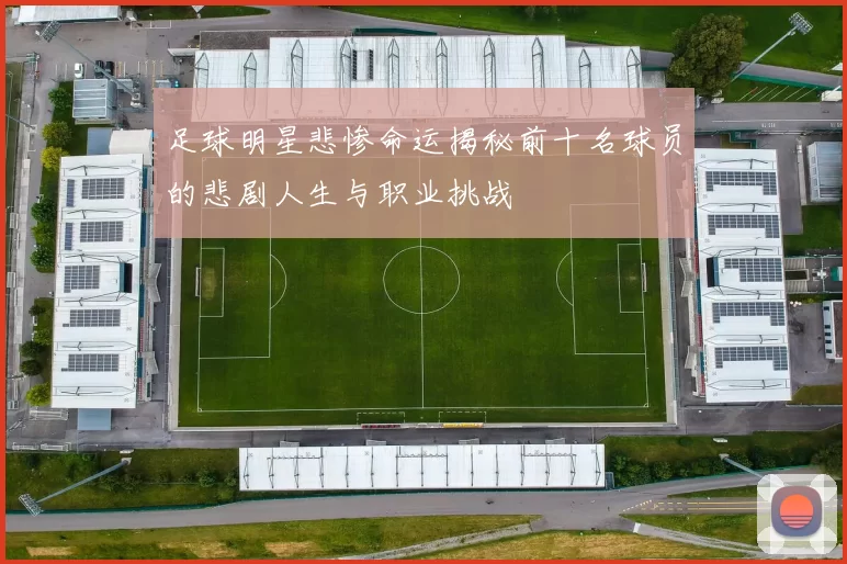 足球明星悲惨命运揭秘前十名球员的悲剧人生与职业挑战