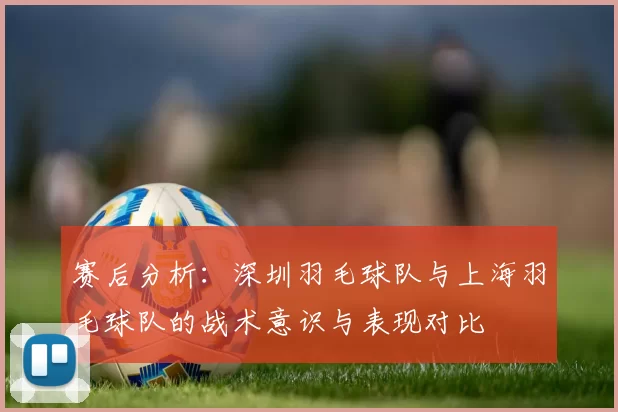 赛后分析：深圳羽毛球队与上海羽毛球队的战术意识与表现对比