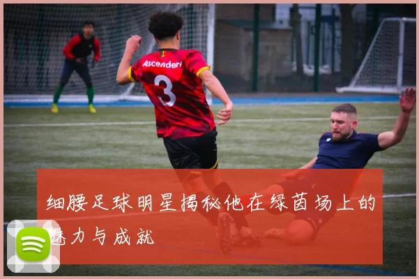 细腰足球明星揭秘他在绿茵场上的魅力与成就
