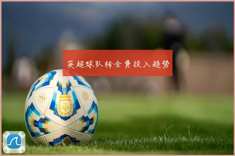 英超球队转会费投入趋势