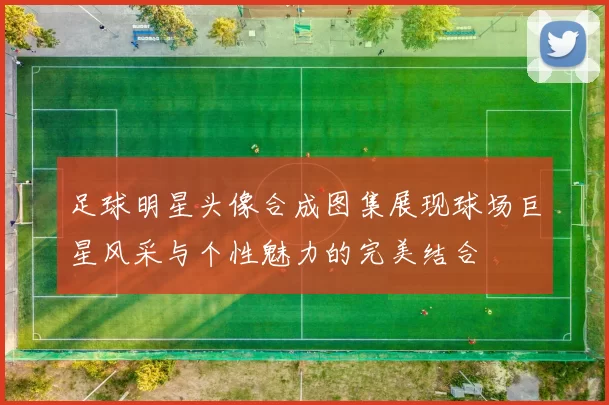 足球明星头像合成图集展现球场巨星风采与个性魅力的完美结合