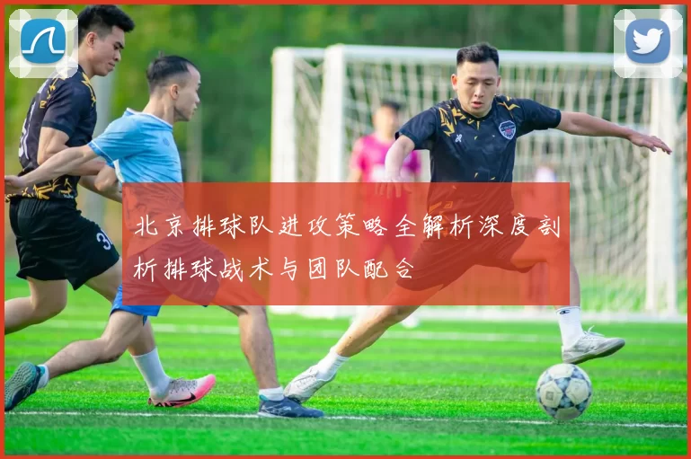 北京排球队进攻策略全解析深度剖析排球战术与团队配合