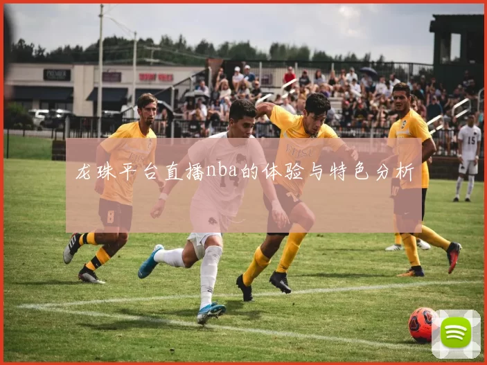 龙珠平台直播nba的体验与特色分析