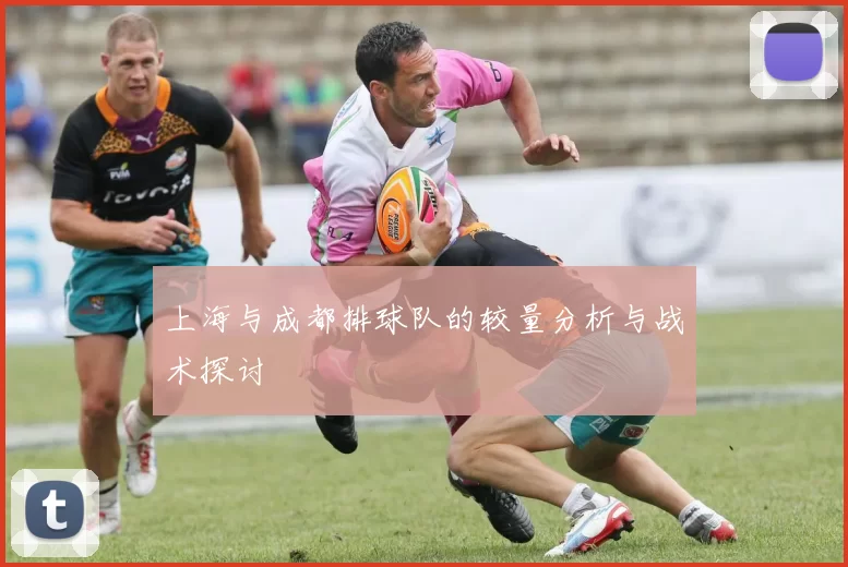 上海与成都排球队的较量分析与战术探讨
