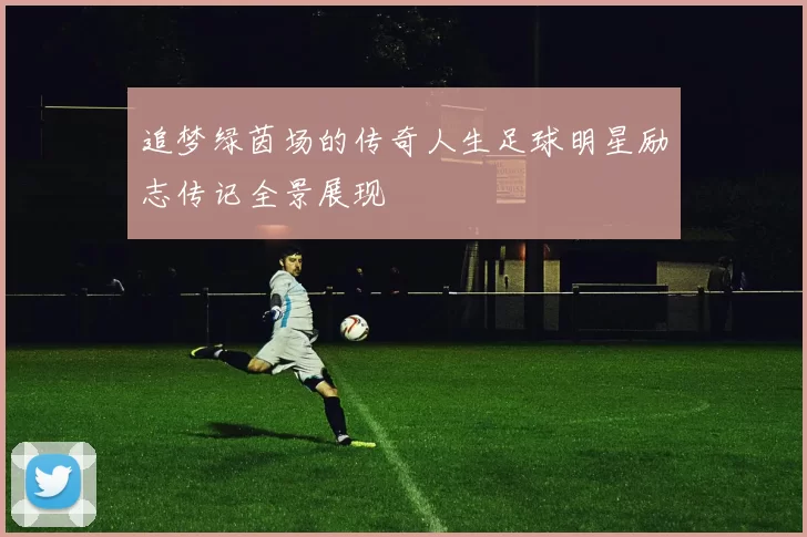 追梦绿茵场的传奇人生足球明星励志传记全景展现