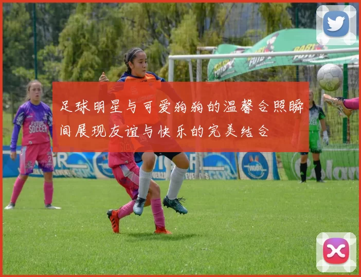 足球明星与可爱狗狗的温馨合照瞬间展现友谊与快乐的完美结合