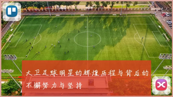 大卫足球明星的辉煌历程与背后的不懈努力与坚持
