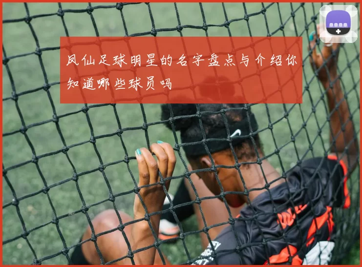 凤仙足球明星的名字盘点与介绍你知道哪些球员吗