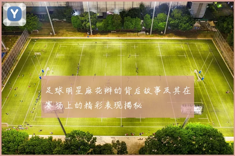 足球明星麻花辫的背后故事及其在赛场上的精彩表现揭秘