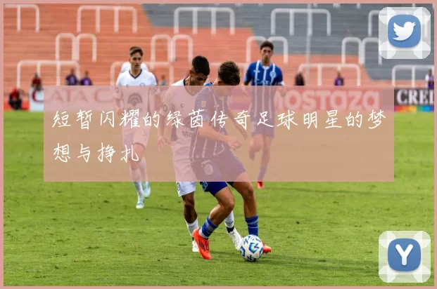 短暂闪耀的绿茵传奇足球明星的梦想与挣扎