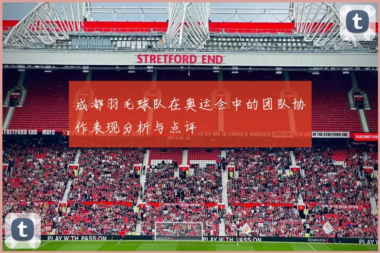 成都羽毛球队在奥运会中的团队协作表现分析与点评