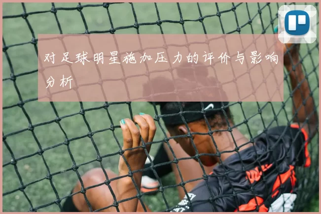 对足球明星施加压力的评价与影响分析
