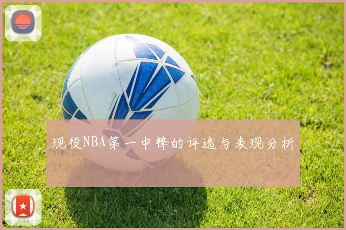 现役NBA第一中锋的评选与表现分析