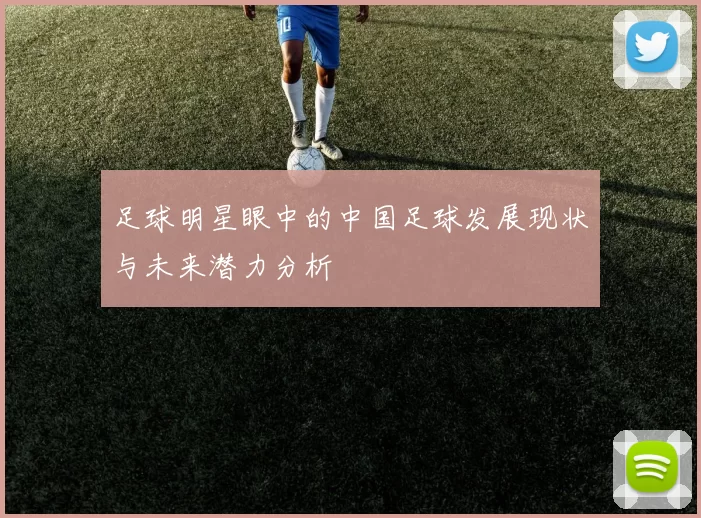 足球明星眼中的中国足球发展现状与未来潜力分析
