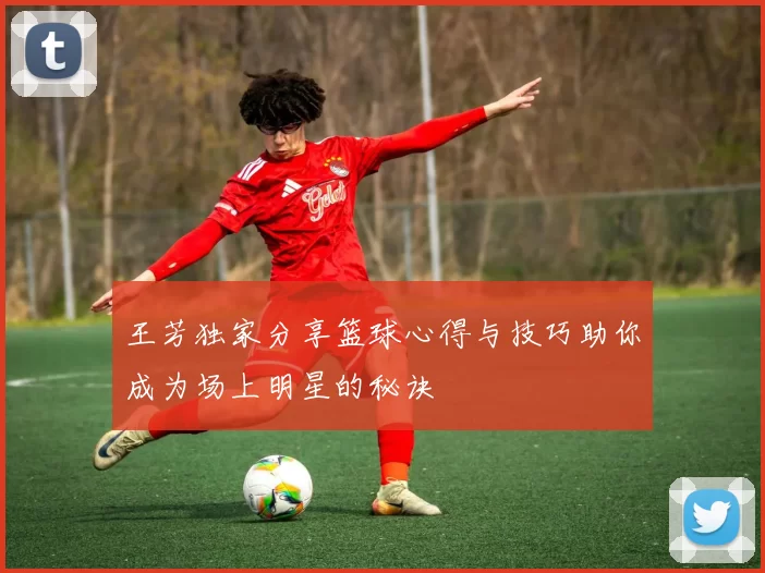 王芳独家分享篮球心得与技巧助你成为场上明星的秘诀